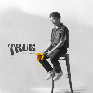 ดาวน์โหลดและฟังเพลง True (Explicit) พร้อมเนื้อเพลงจาก Jericho Streegan
