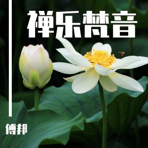 Listen to 观音散花-权琳丽 (完整版) song with lyrics from 傅邦