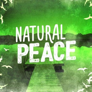 ดาวน์โหลดและฟังเพลง Wood Stream พร้อมเนื้อเพลงจาก Green Meditation Sound Collectors