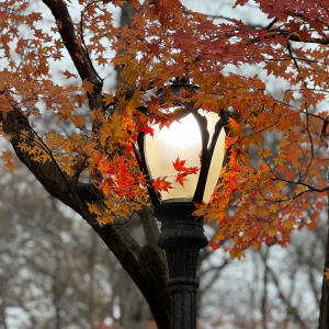 收聽Ambient k的last year歌詞歌曲