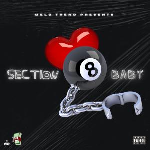 อัลบัม Section 8 Baby (Explicit) ศิลปิน Melo Trend