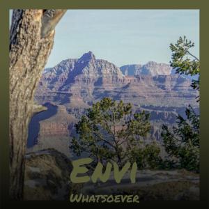 Album Envi Whatsoever oleh Various Artists