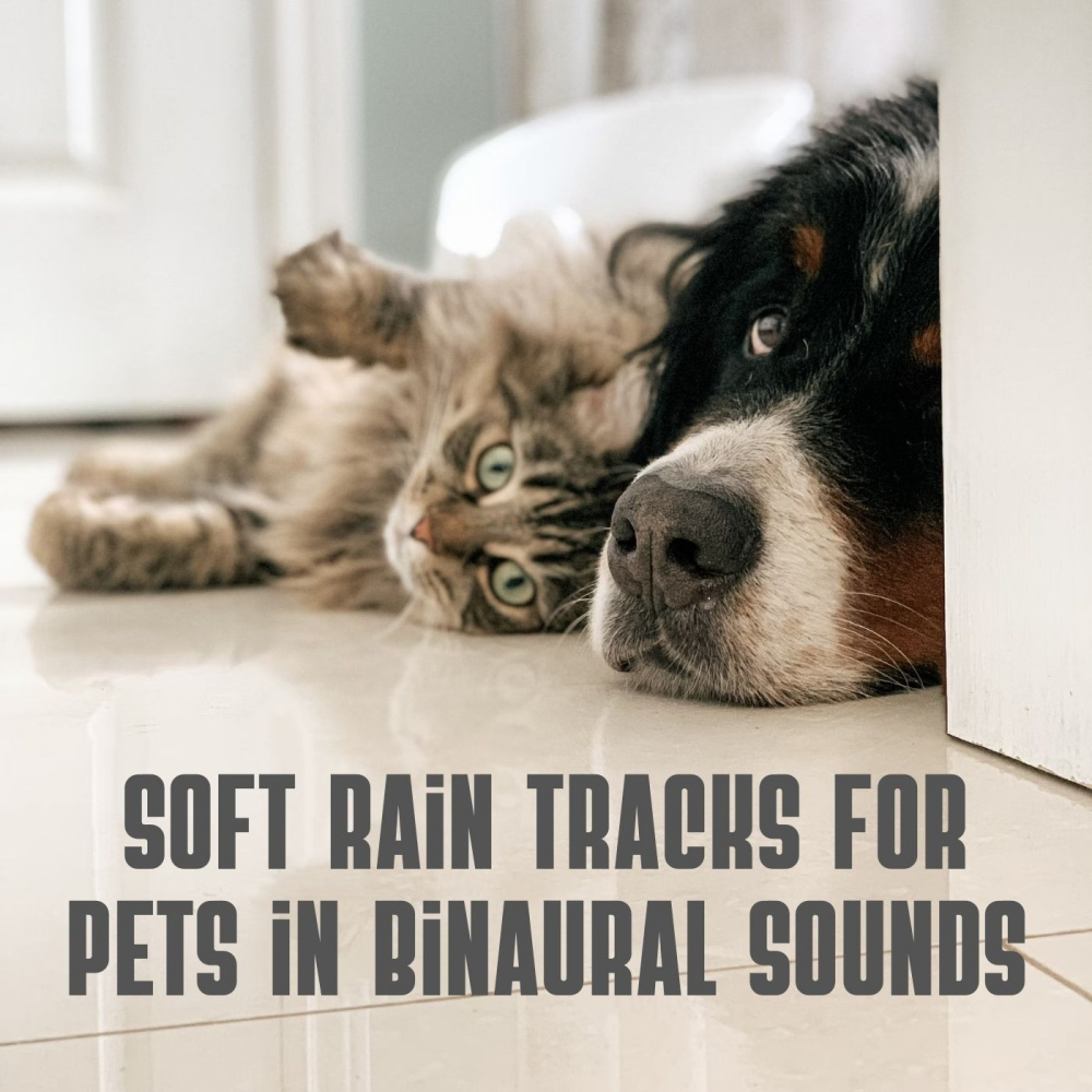 Ambient Rainy Atmosphere