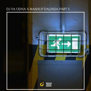 Album DJ YA ODNA X MASHUP DALINDA PART 5 oleh Rizky Muzik