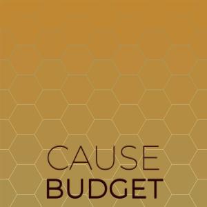 อัลบัม Cause Budget ศิลปิน Various