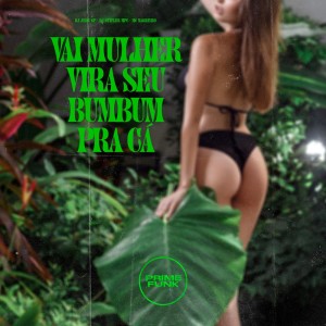 Listen to Vai Mulher Vira Seu Bumbum Pra Cá (Explicit) song with lyrics from Dj Jhon SP
