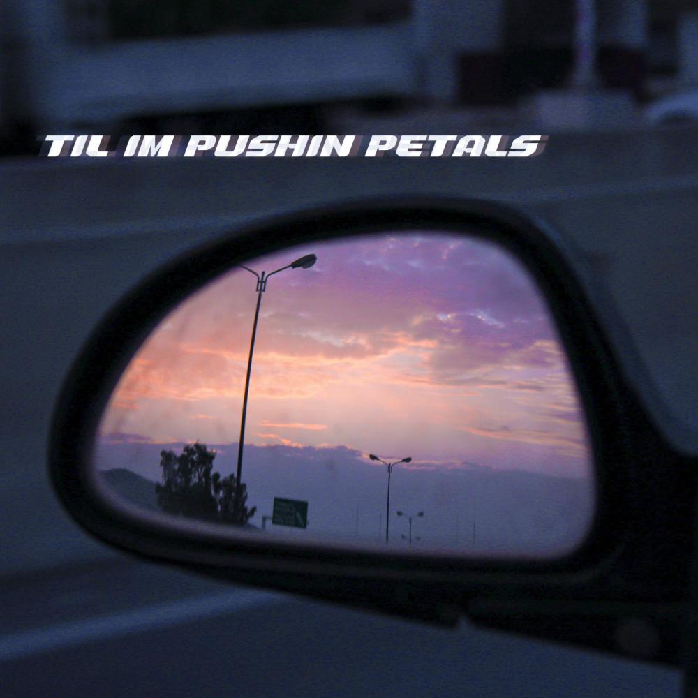 til i'm pushin petals