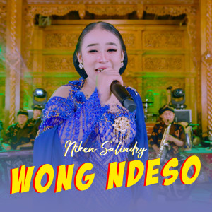 Album Wong Deso from Niken Salindry