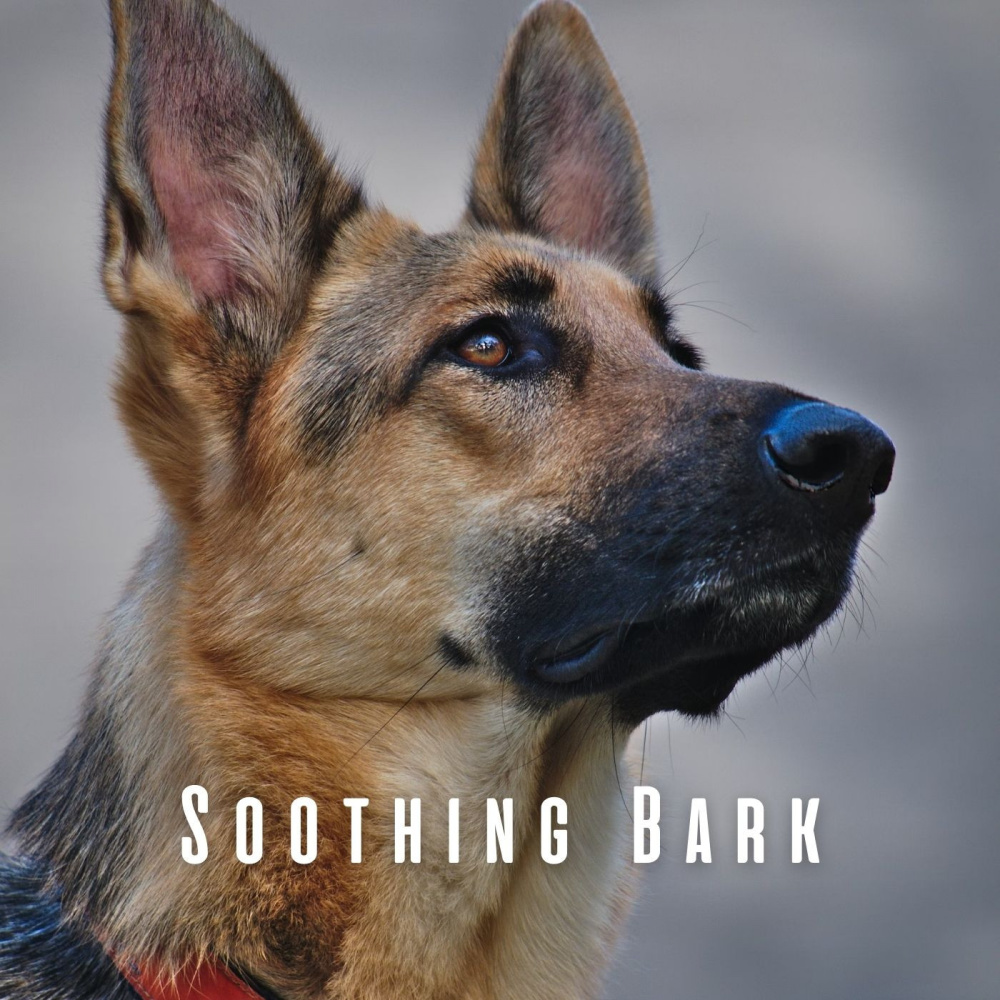 Dog's Serenade in Piano Sounds