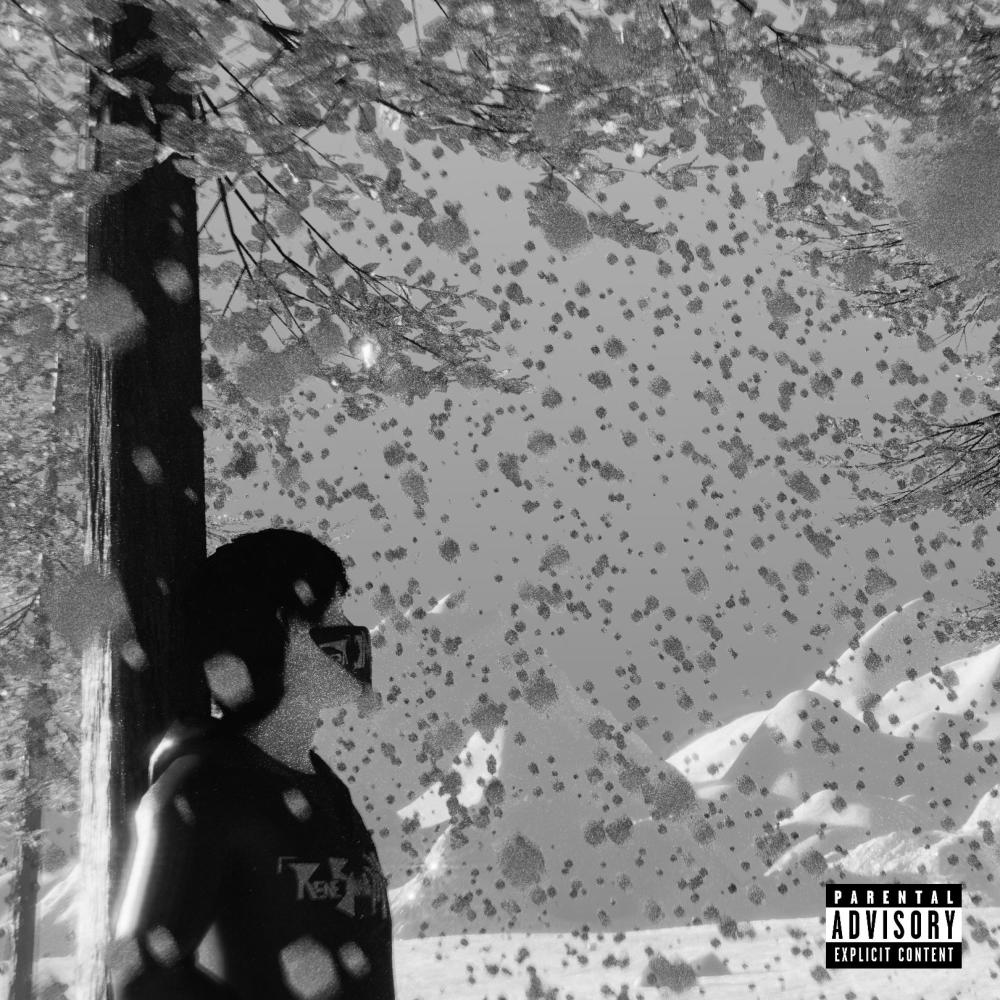 Ember Freestyle (feat. Lil Lewd) (Explicit)