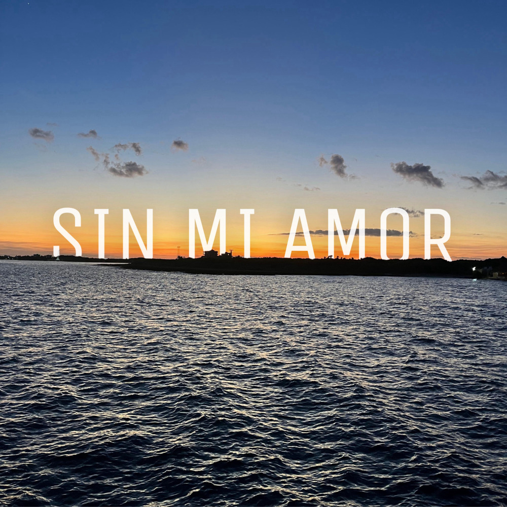 Sin Mi Amor