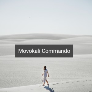 Dengarkan Movokali Commando (Remix) lagu dari ARI FAOT dengan lirik