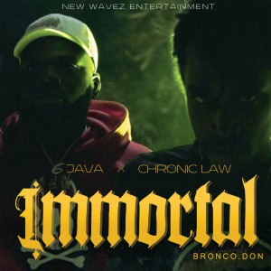ดาวน์โหลดและฟังเพลง Immortal (Explicit) พร้อมเนื้อเพลงจาก Java