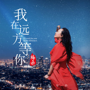 收聽梅朵的我在遠方等你歌詞歌曲