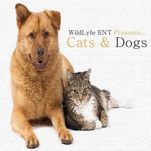 Dengarkan Jungles (Instrumental) lagu dari Cats dengan lirik