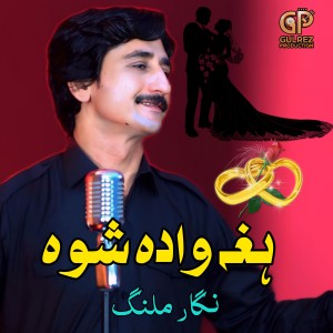Listen to Hagha Wada Shwa song with lyrics from Nigar Malang