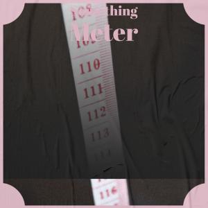 Album Something Meter from Various