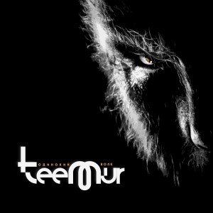 Listen to Одинокий волк song with lyrics from Teemur