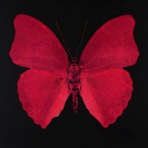 Tacksi的专辑Hunting (Explicit)