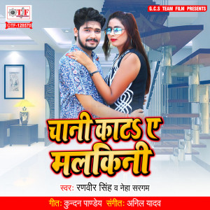 Listen to Chani Kata Ae Malkini song with lyrics from Neha Sargam