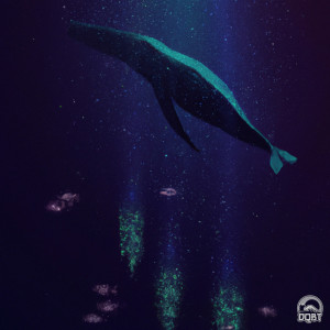 Album Sonar from MyceliumBug