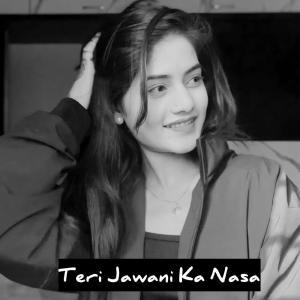 Listen to Teri Jawani Ka Nasa (Explicit) song with lyrics from BVR