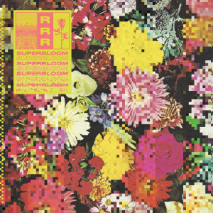 收聽Ra Ra Riot的Flowers歌詞歌曲