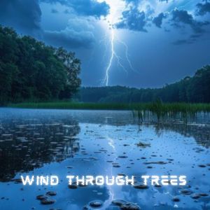 Listen to Wish Upon a Star song with lyrics from Sound Therapy