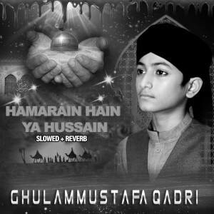 Album Hamarain Hain Ya Hussain (Lofi-Mix) from Ghulam Mustafa Qadri