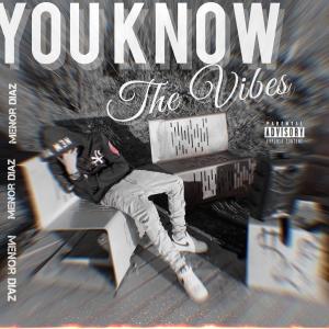 ดาวน์โหลดและฟังเพลง You know the vibes (Explicit) พร้อมเนื้อเพลงจาก menor diaZ