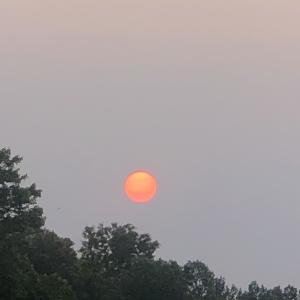 ดาวน์โหลดและฟังเพลง Doves flights (Explicit) พร้อมเนื้อเพลงจาก K Hamid