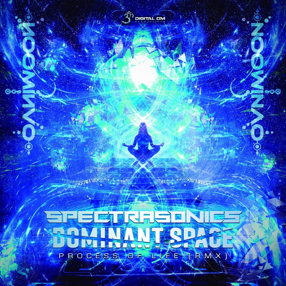 Process of Life (Spectra Sonics & Dominant Space Remix) (Explicit) (Spectra Sonics & Dominant Space Remix|Explicit)