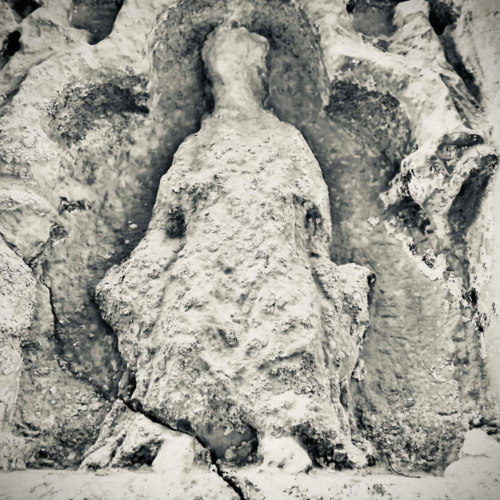 Glimpses Of Niche