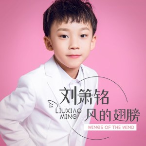 收聽劉簫銘的風的翅膀 (伴奏)歌詞歌曲