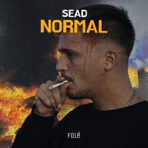 收听Sead的Normal (Explicit)歌词歌曲