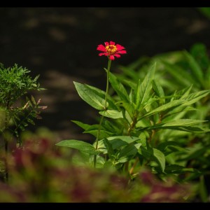 ดาวน์โหลดและฟังเพลง Deep Rivers พร้อมเนื้อเพลงจาก Relaxing Music
