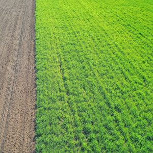 收聽Relaxing Music的Joy of Life歌詞歌曲