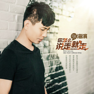 Listen to 你怎么说走就走 (DJ阿圣版) song with lyrics from 张海滨