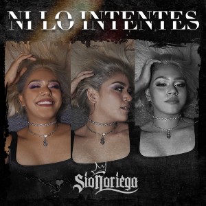 ดาวน์โหลดและฟังเพลง Ni Lo Intentes พร้อมเนื้อเพลงจาก Sio Noriega