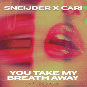 Album You Take My Breath Away from Sneijder