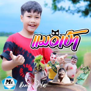 Dengarkan แมวเป้า lagu dari แมทธิว พชร dengan lirik