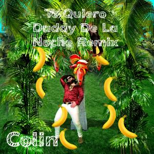 Album Te Quiero (Daddy De La Noche Remix) from Colin