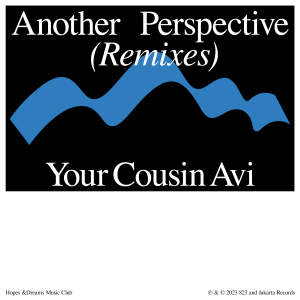 another perspective (Your Cousin Avi Remix) dari Idealism