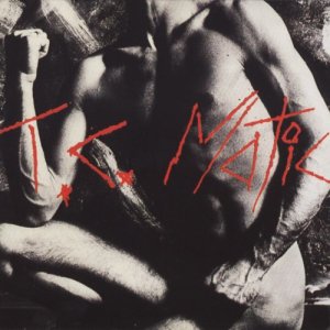 ดาวน์โหลดและฟังเพลง L'Union Fait La Force พร้อมเนื้อเพลงจาก TC Matic