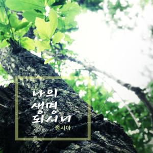Listen to You are my life. song with lyrics from Jung Sia