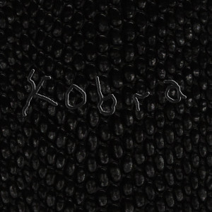 ดาวน์โหลดและฟังเพลง Kobra พร้อมเนื้อเพลงจาก BVSIS