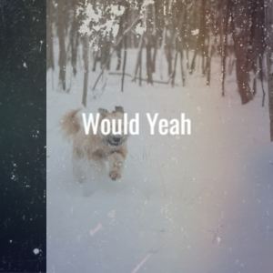 Album Would Yeah from Amila