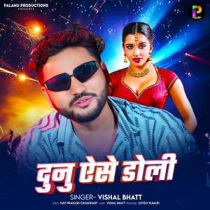 收聽Vishal Bhatt的Dunu Aise Doli歌詞歌曲