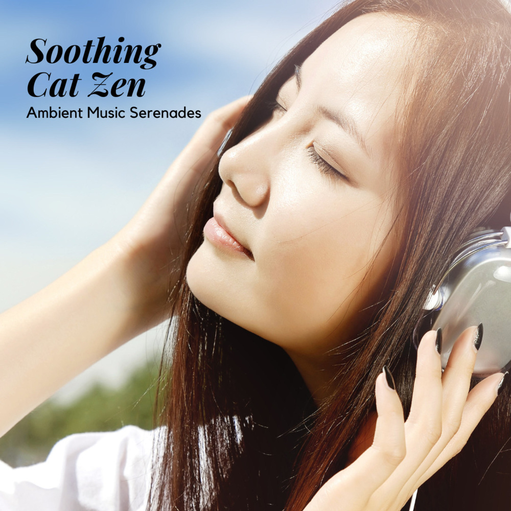 Soothing Ambient Music Fur
