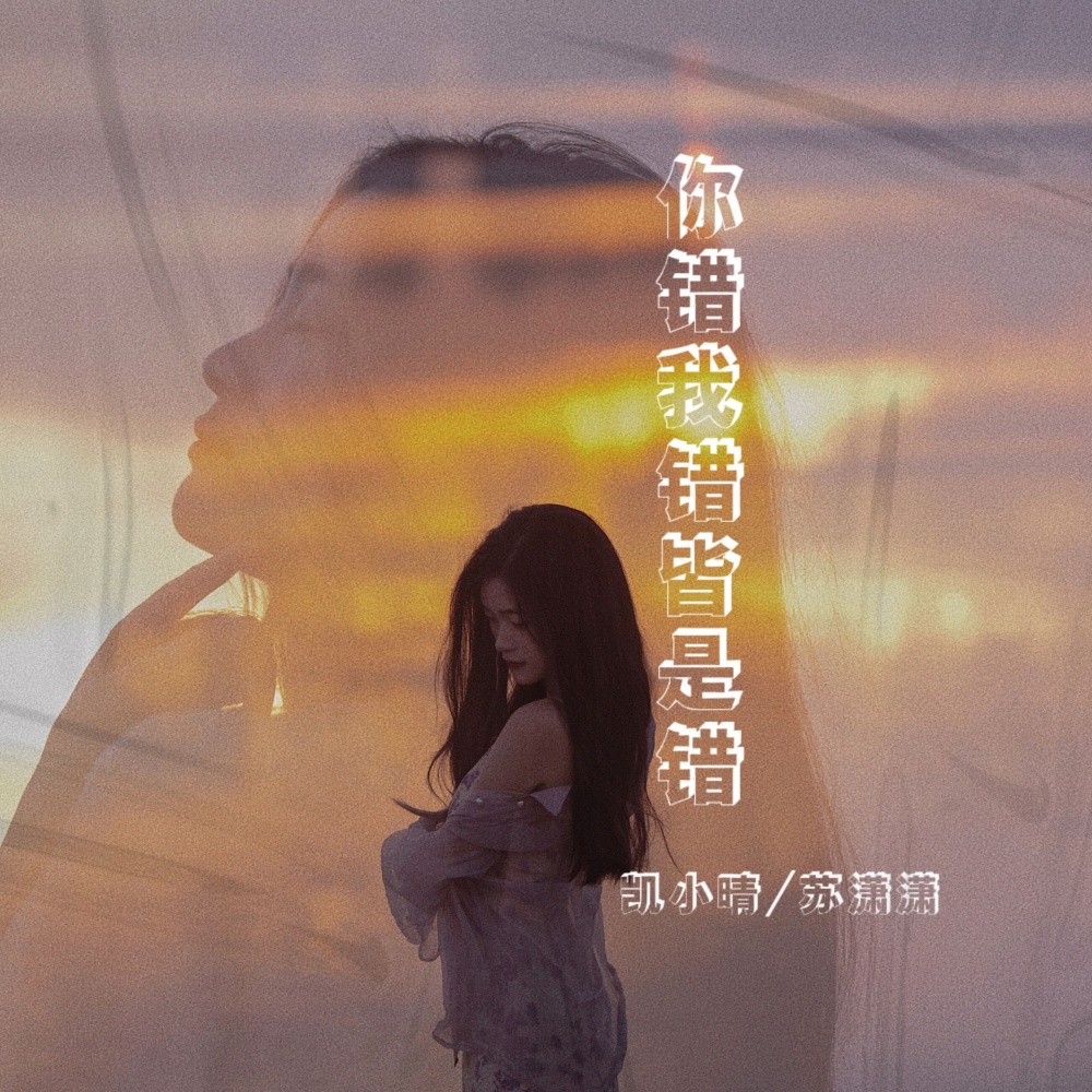 你错我错皆是错 (伴奏)